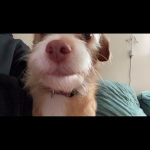 Meet your Posher, Jony